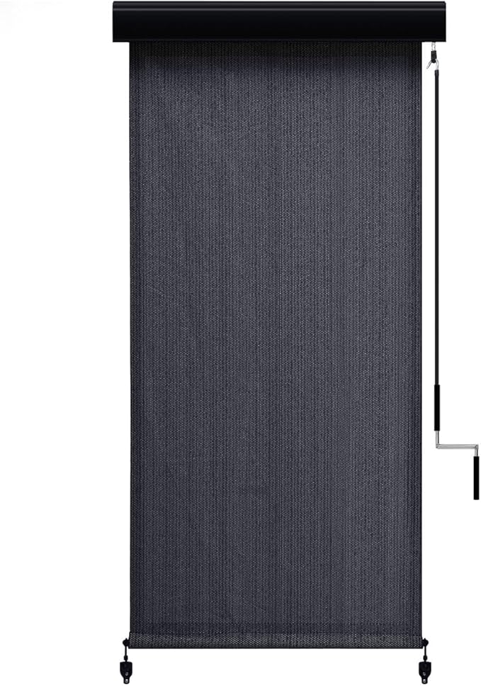 Outdoor Roller Shade, Exterior Patio Cordless Blinds with Aluminum Valance Roll Up Shades for Porch Balcony Backyard (4' W X 8' L), Graphite Black
