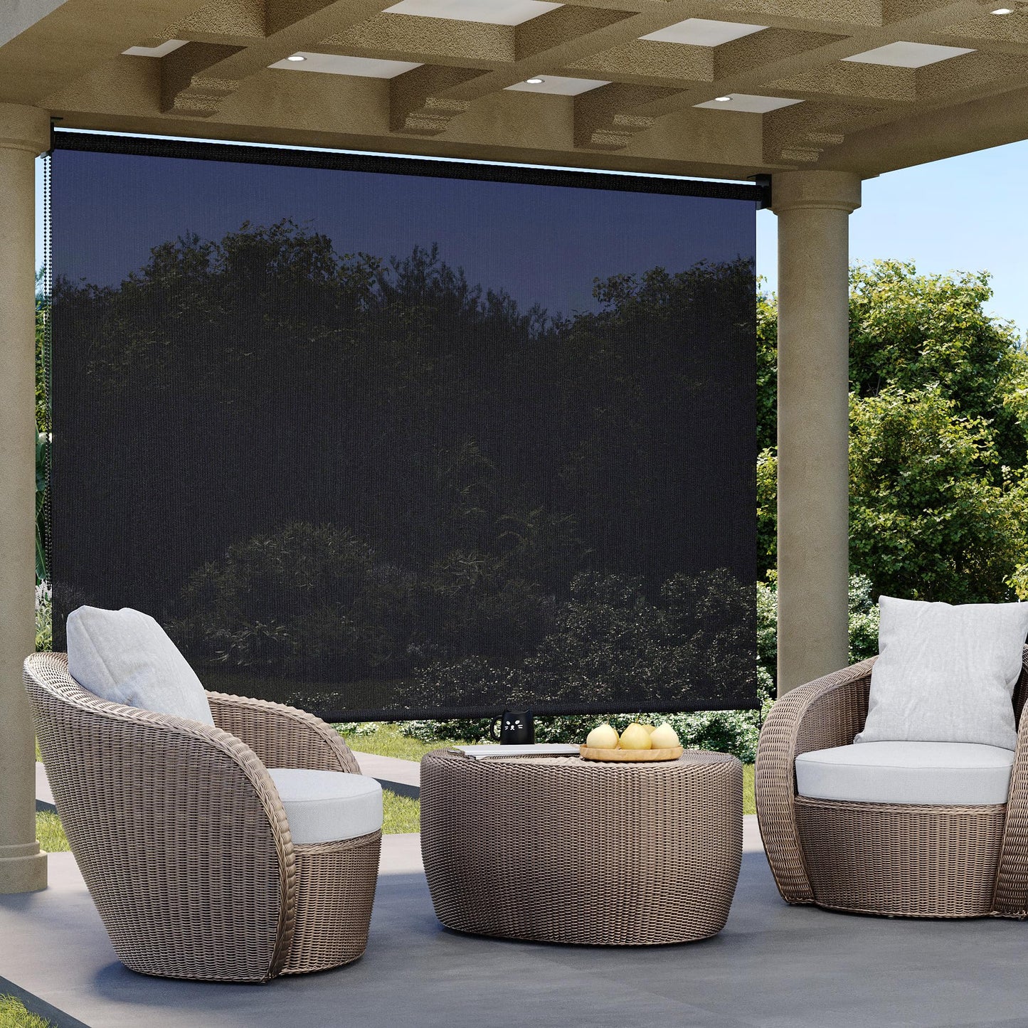 DIFY Outdoor Roller Shade Blinds, Exterior Roll Up Shade 10 * 8FT for Patio Yard Deck Porch, Chain Operation, Graphite